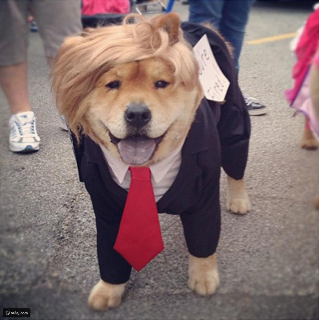perro Donald Trump